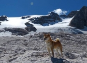 爱游戏官方入口-大场面先生与铁血之师，哈登的魔咒与辽宁的拼杀