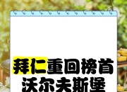爱游戏体育-沃尔夫斯堡队主场大胜，积分榜逐渐攀升的简单介绍