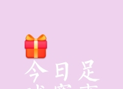 爱游戏体育-幸运进球决定比赛胜负，球迷欢呼雀跃的简单介绍