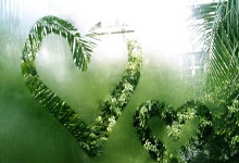 爱游戏下载-南极洲新兴球队壮大，赛事水平不断提升的简单介绍