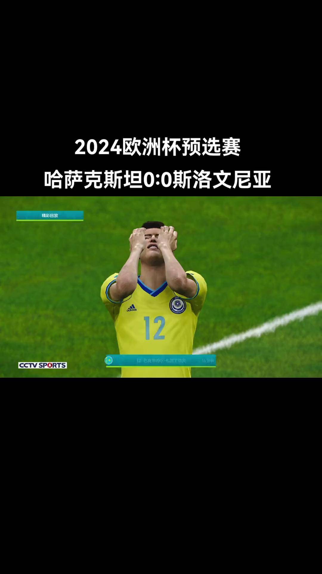 欧洲国家杯预选赛激战正酣，球迷热情高涨的简单介绍