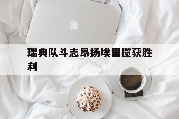 瑞典队斗志昂扬埃里揽获胜利的简单介绍