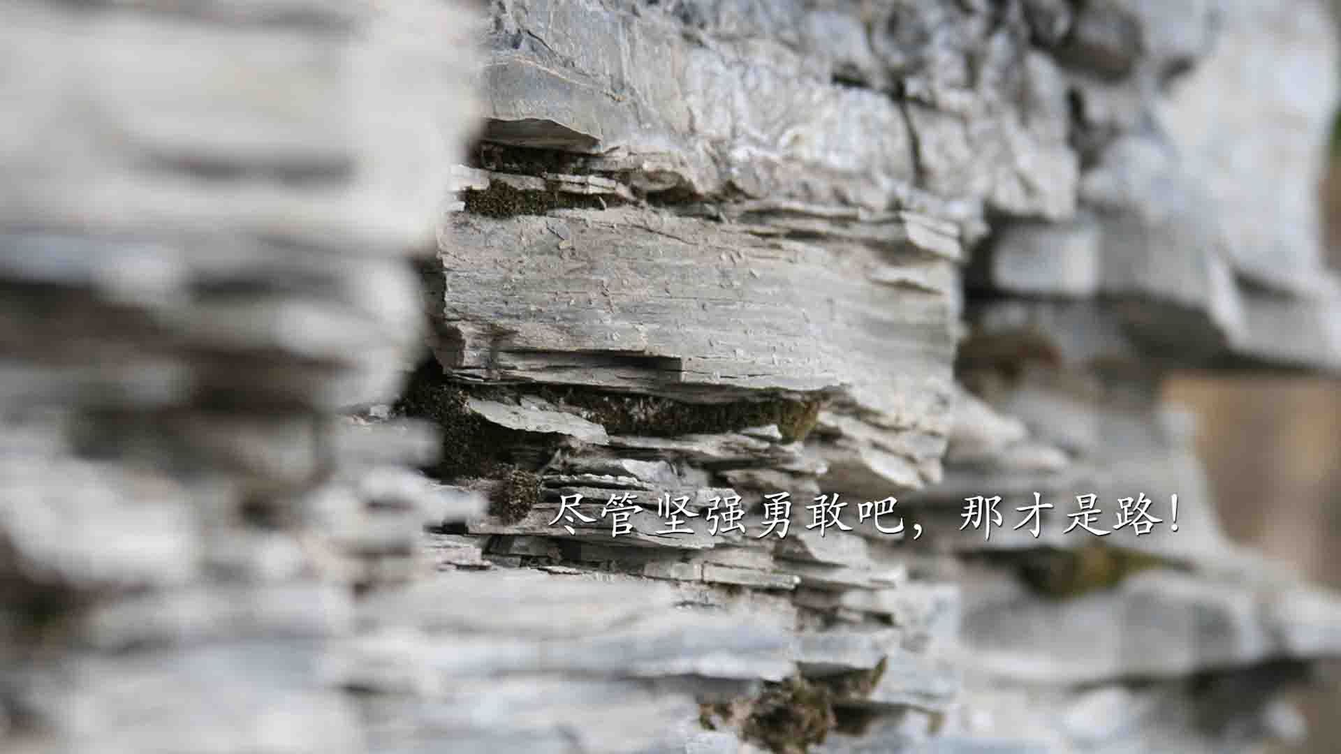 跨越篮球世界的一战，尼克斯鏖战广厦，新星切特创里程碑之夜