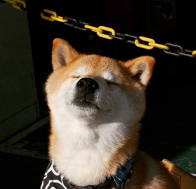 绿茵指挥家,卢卡库引领全队,爱尔兰掀起得分风暴压制克罗地亚