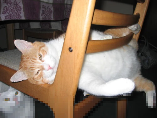 罗德里一战封神!米兰德比惊天逆转背后,那些数字讲述的统治力故事