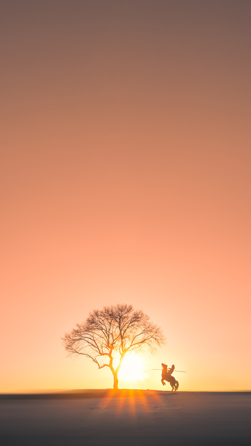 掌控与反制,福克斯主导节奏,辽宁团队之力击溃公牛