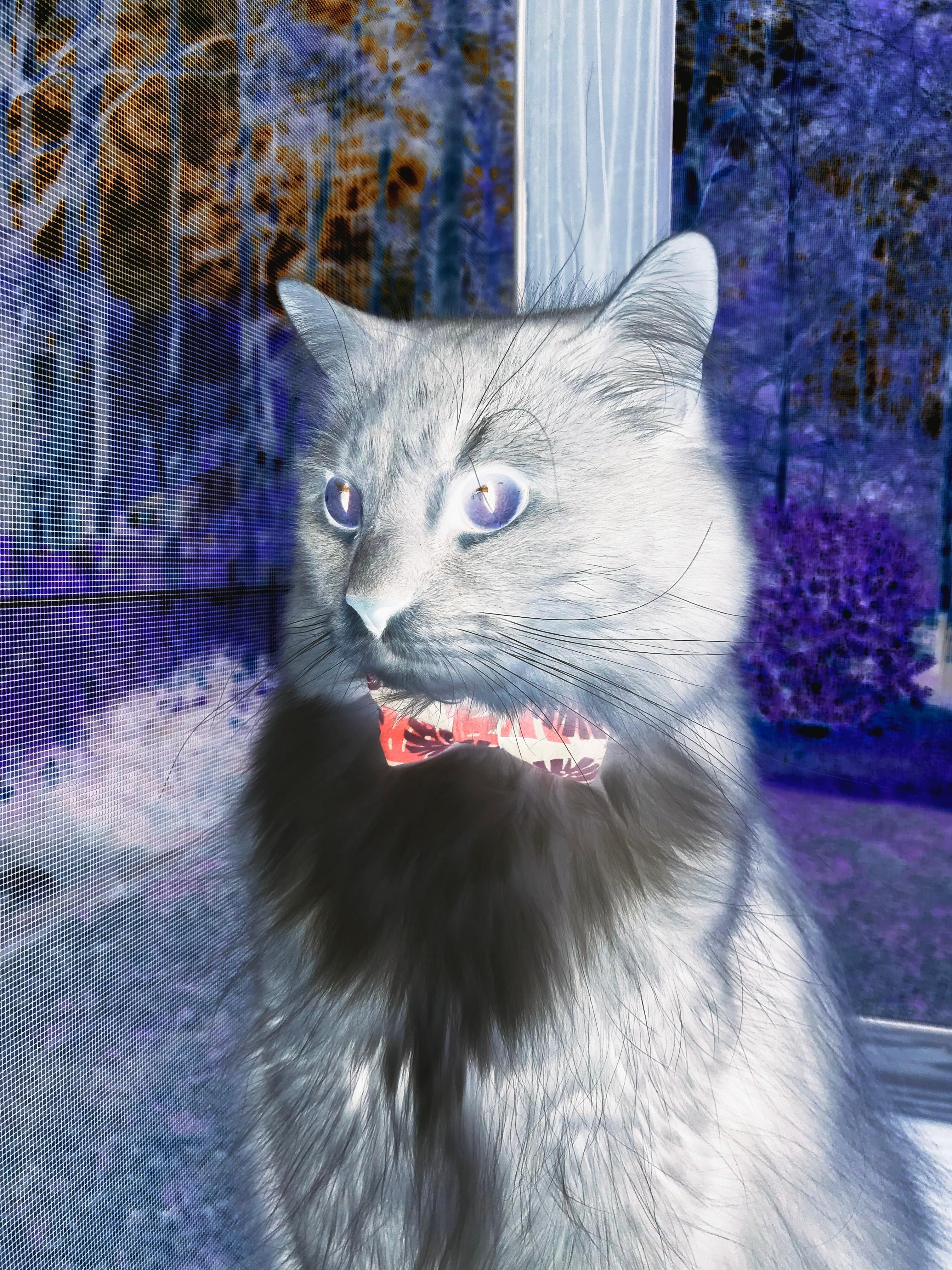 总决赛之夜的非典型胜利，当维尼修斯在另一个赛场评分拉满