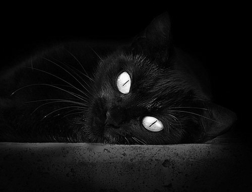 广厦队惊天逆转开拓者，贝恩末节爆发成关键先生