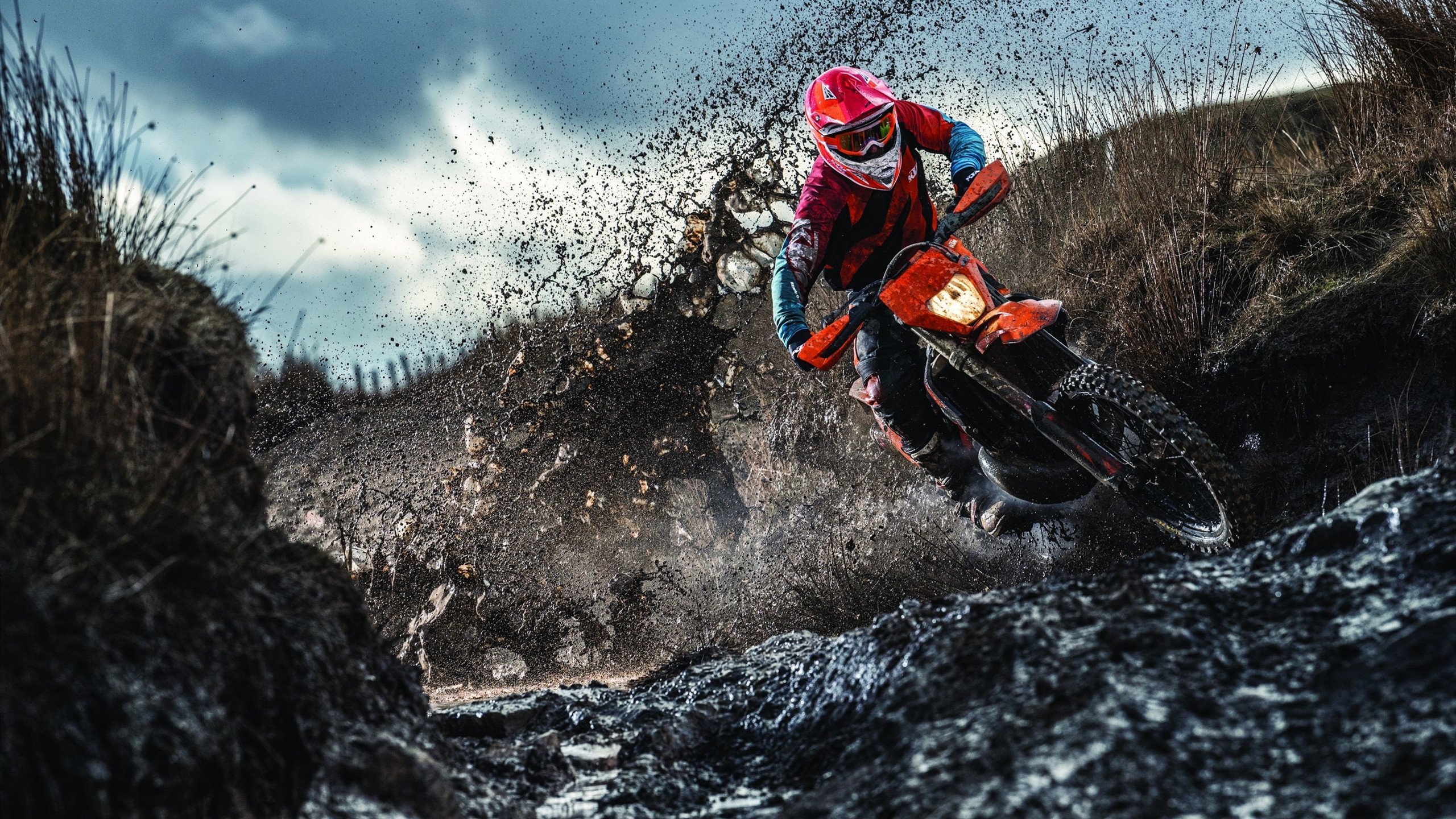 双星闪耀，当F1引擎轰鸣遇见贝林厄姆的燃爆之夜